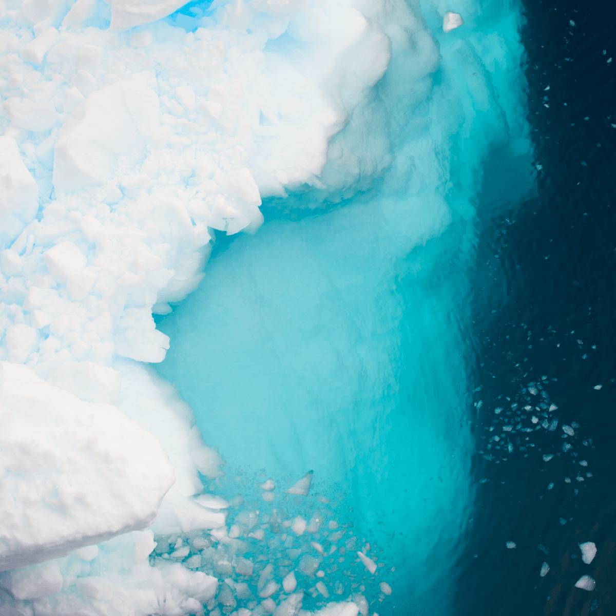 Milestone Anniversary For North Lanarkshire Food Waste Plant Net Zero