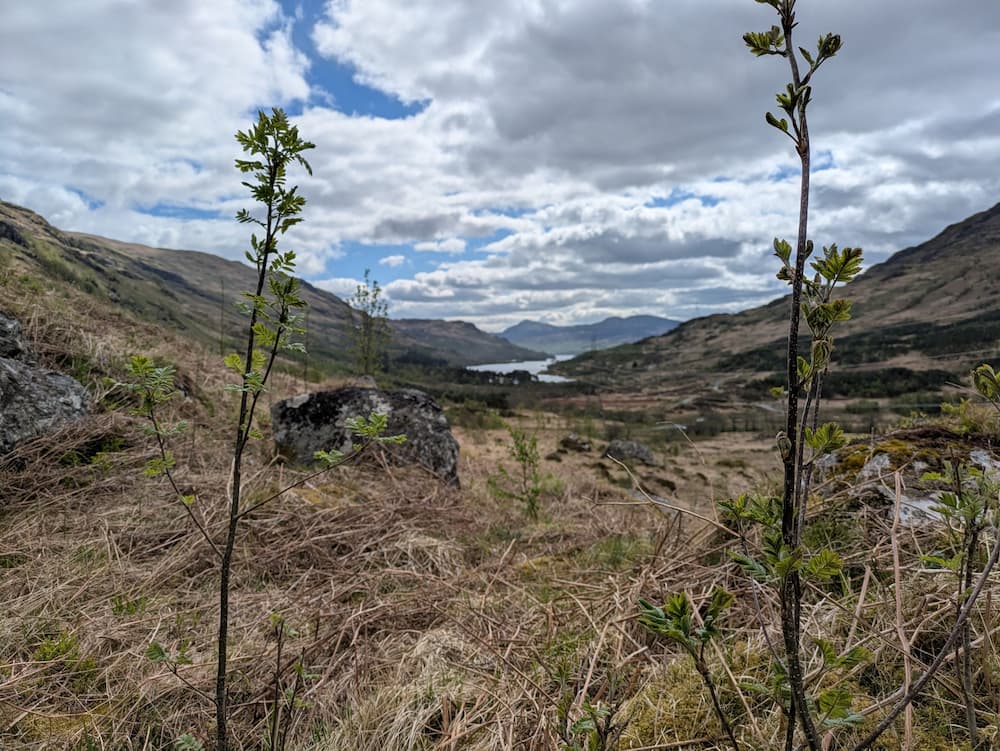 Loch Katrine landscape