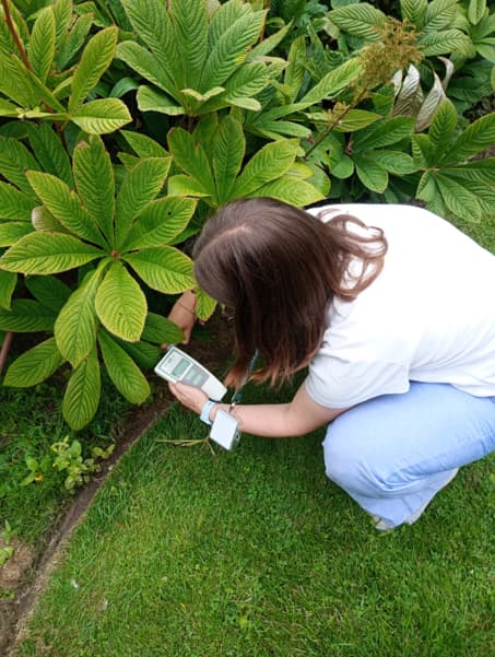 Plants with Purpose PhD student Isla Kendall monitoring the health of plants. 